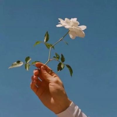 圆盘骑士团游戏下载