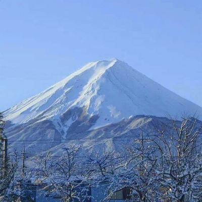 召唤与合成oppo版下载